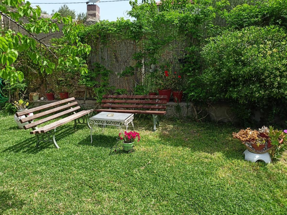 Agia Marina  Finikas Rooms מראה חיצוני תמונה
