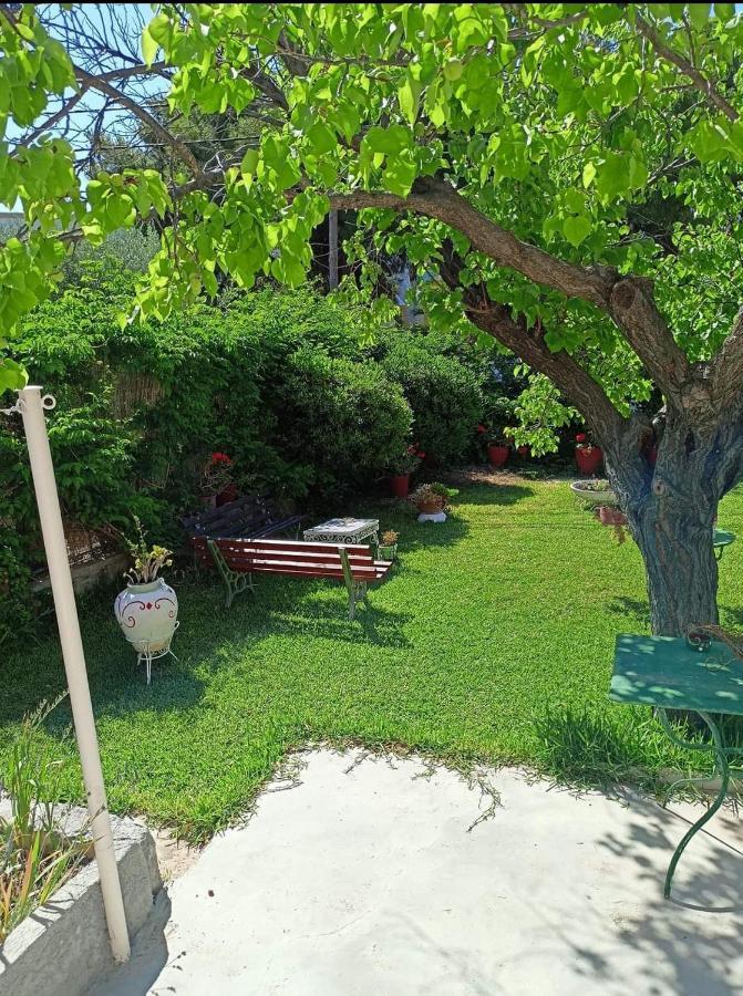 Agia Marina  Finikas Rooms מראה חיצוני תמונה
