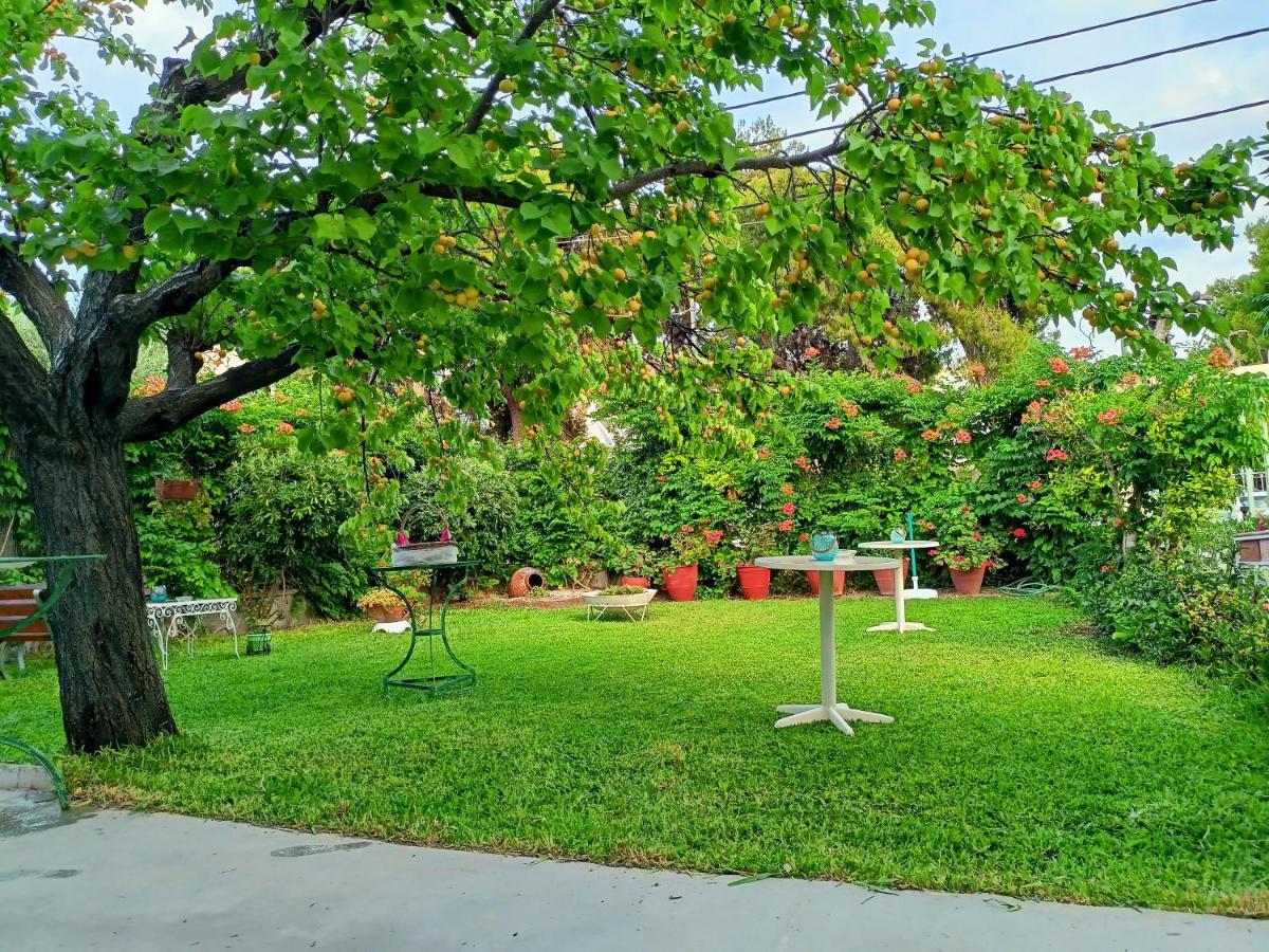 Agia Marina  Finikas Rooms מראה חיצוני תמונה