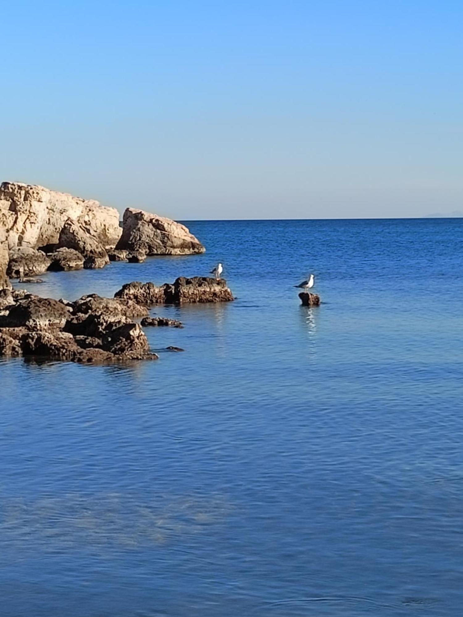 Agia Marina  Finikas Rooms מראה חיצוני תמונה