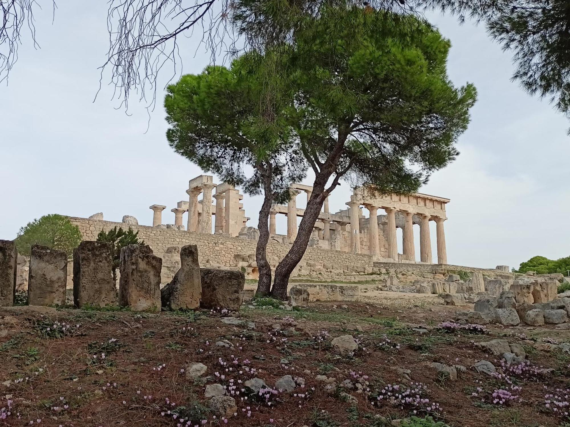 Agia Marina  Finikas Rooms מראה חיצוני תמונה