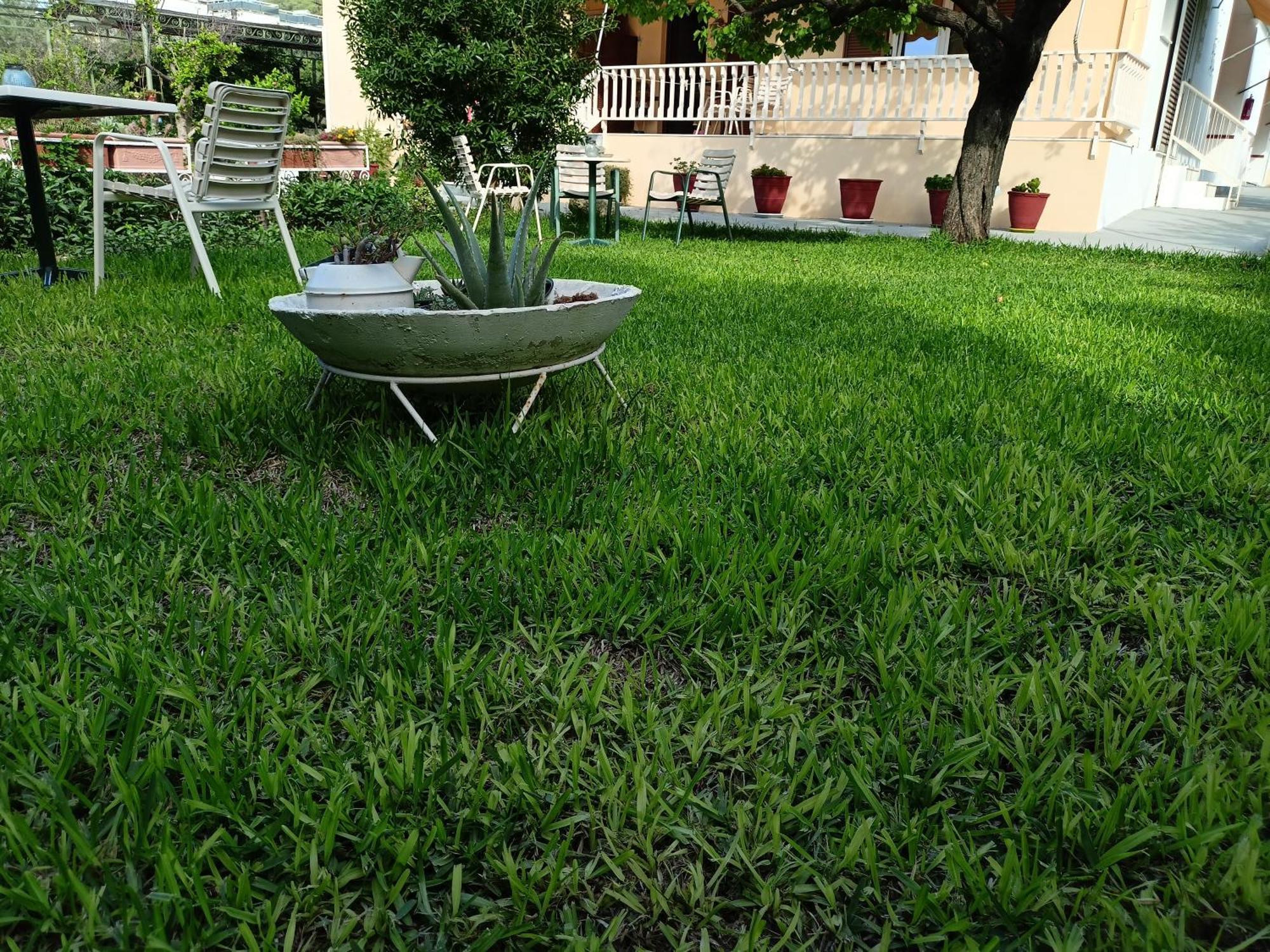 Agia Marina  Finikas Rooms מראה חיצוני תמונה