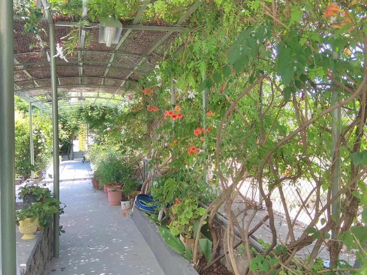 Agia Marina  Finikas Rooms מראה חיצוני תמונה